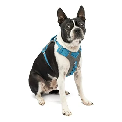Imagen de Kurgo Journey Air Arnés para Perro, Reflectante Correr Pasear Caminar y Viajes, Ajustable Azul, S