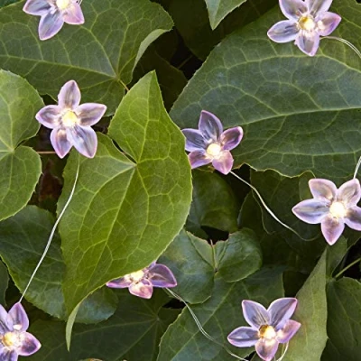 Imagen de Lights4fun Guirnalda de 20 Micro LED Blanco Cálido a Pilas con Flores para Interiores y Exteriores