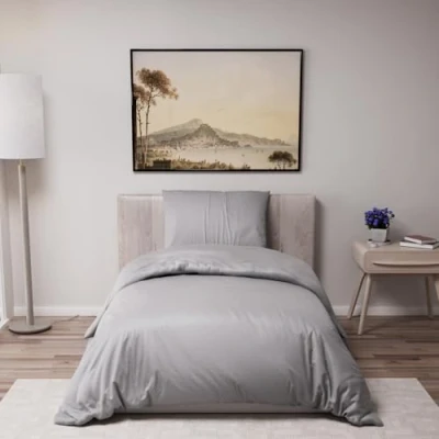 Imagen de Dreamzie Funda Nordica Cama 135x200 cm con 1 Almohada 80x80 Antracita nordicas de 100% Microfibra. Certificada sin Productos Químicos (Oeko Tex)