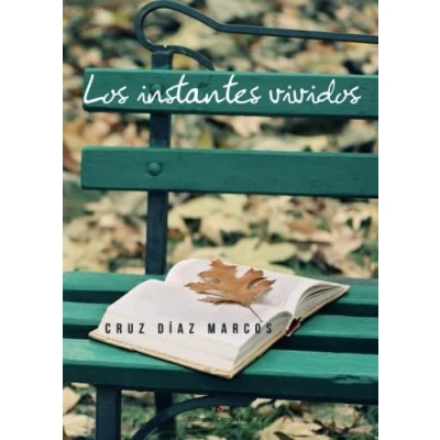 Imagen de Los instantes vividos (NOVELA)