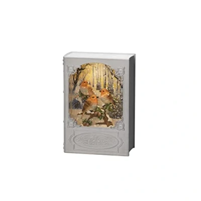 Imagen de Konstsmide Christmas Decoración de mesa LED farol agua Libro Pájaros