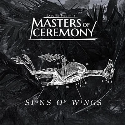 Imagen de Signs Of Wings [Vinilo]