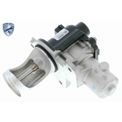 Imagen de VEMO EXPERT KITS + V10 63 0004 Válvula EGR eléctrico de control sin junta VOLKSWAGEN: Transporter 5, Passat B6 Variant, Multivan 5 (7HM