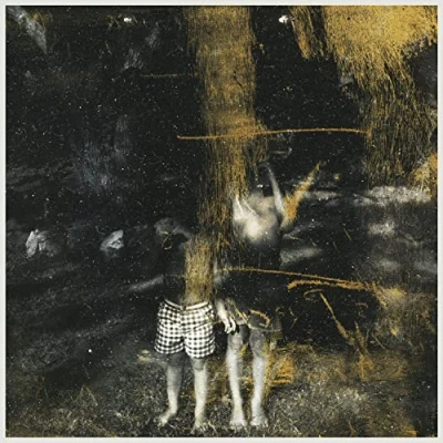 Imagen de Voids [Vinilo]