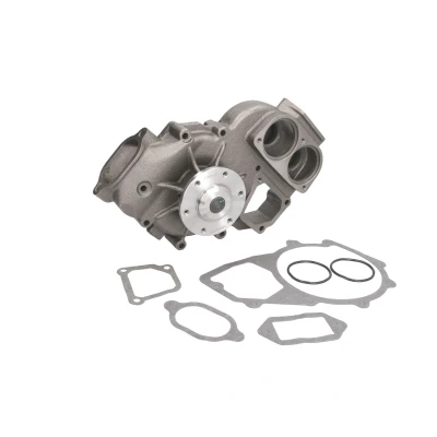 Imagen de THERMOTEC WP MN101 Bomba de agua Fundición gris con juntas