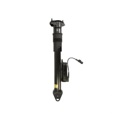 Imagen de Amortiguador BILSTEIN 24 166980