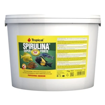 Imagen de Super SPIRULINA Forte 36% 11L / 2kg alimento para Peces en Forma de Escamas con Altas Necesidades nutricionales