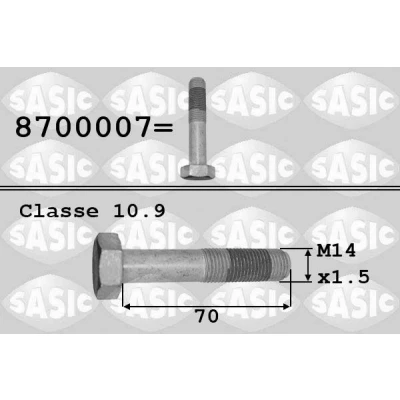 Imagen de SASIC 8700007 Tornillo de polea PEUGEOT: 206 Hatchback, Boxer Furgón, 407 Berlina, CITROËN: Berlingo II Saxo Xsara Picasso