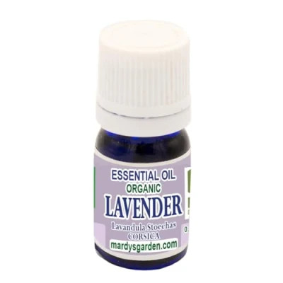 Imagen de Aceite Esencial BIO de Lavanda Stoechas (Lavandula Stoechas) 5ml. Destilado en Córcega 100% puro natural