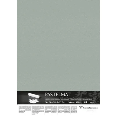 Imagen de Clairefontaine Ref 96157C Hojas para Sobres Pastelmat (paquete de 5 hojas) Tarjeta 360 g/m² 50 x 70 cm Color verde claro Especialmente formuladas usar con pasteles