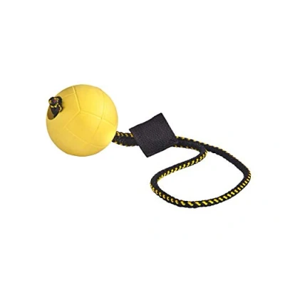 Imagen de DINGO GEAR WWW.DINGOGEAR.COM 1977 Juego magnético para el Entrenamiento del Perro: imán Cubierto y Bola de Goma con Mango