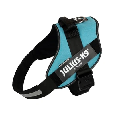 Imagen de Arnés IDC Power, Tamaño: 3/2XL, Turquesa