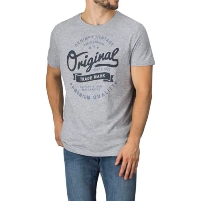 Imagen de DENIMFY camiseta para hombre de algodón corte regular DFNuri cuello redondo manga corta verano logo negro gris azul verde rojo blanco marino S M L XL XXL 3XL 4XL 5XL 5XL, Grey