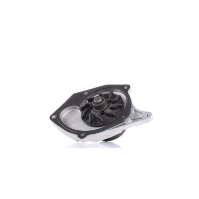 Imagen de DOLZ R217 Bomba de agua con polea RENAULT: CLIO 2, Kangoo I, MEGANE NISSAN: Qashqai / Qashqai+2 MICRA 3, Almera II Hatchback, DACIA: Lodgy