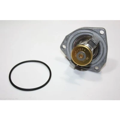 Imagen de Termostato, refrigerante AUTOMEGA 160100010