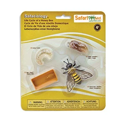 Imagen de Safari Ltd. Life Cycle of A Honey Bee (622716)