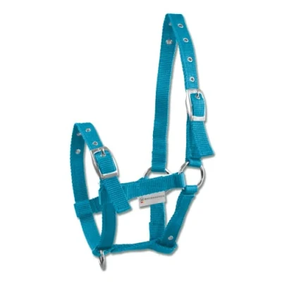 Imagen de Fohlenhalfter Triple, azurblau