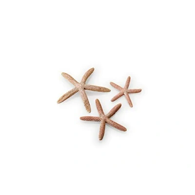 Imagen de biOrb Juego de 3 estrellas mar en color natural