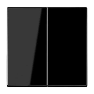 Imagen de JUNG LS995SW Tecla Doble, Duroplástico (Resistente Al Rayado) Brillante, Negro
