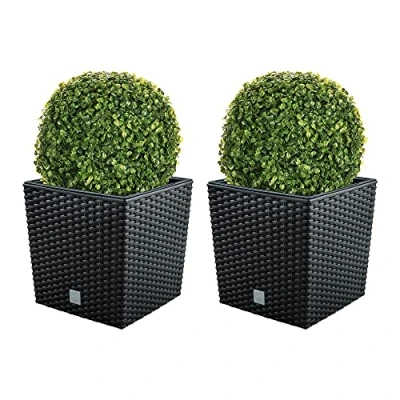 Imagen de Doble set de Maceta Rato 32 litros con cubilete para plantar en color antracita x 32,5 cm + Bola boj diámetro 27