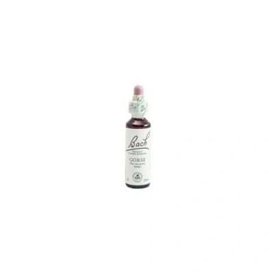 Imagen de BACH FLORES de GORSE 20ml Frasco cristal 20 ml con gotero