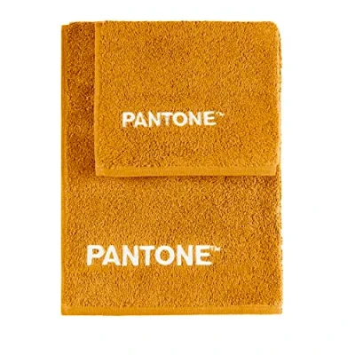 Imagen de SWEET HOME Pantone™ Juego de Toallas 1+1 Compuesto por invitado 40 x 50 cm + Cara 100 con Bordado Pantone™, Certificado Oeko Tex, Ocre