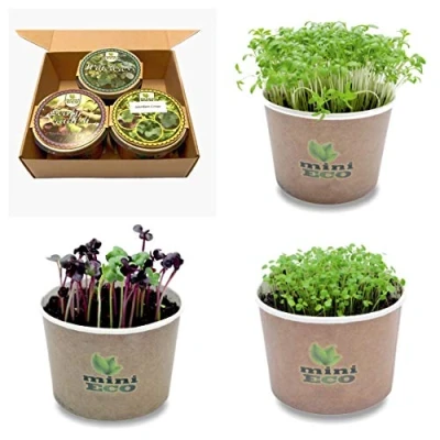 Imagen de MiniEco Los Microgreens Semillas para Brotes Berros, Berros de Jardín y Rábanos Frondosos. Kit Cultivo Hierbas Regalo. Cultive Sus Frescas en el Alféizar