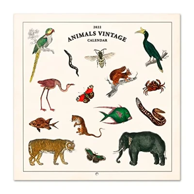 Imagen de Grupo Erik Calendario animales Vintage 2022 pared mensual Producto con licencia oficial