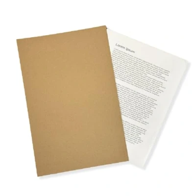 Imagen de Exacompta Carpeta de papel kraft con corte cuadrado, 170 g/m², tamaño folio, pulido, paquete 100