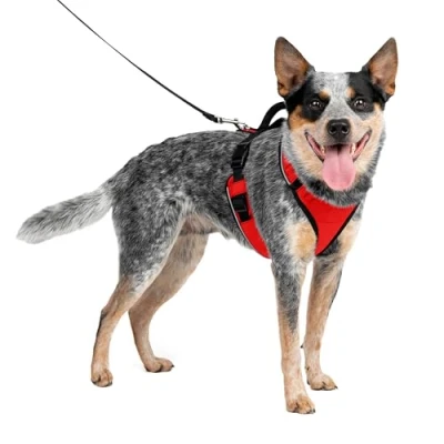 Imagen de PetSafe EasySport Arnés para Perros Acolchado Ajustable con Asa de Control y Cinta Reflectante Rojo Mediano, M