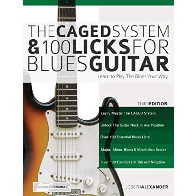 Imagen de The caged system and 100 licks for blues guitar.