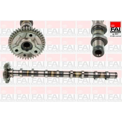 Imagen de Árbol de levas FAI AutoParts C381