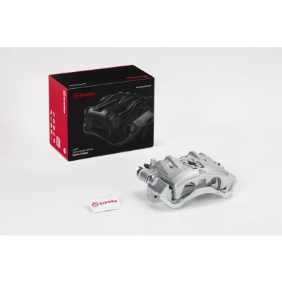 Imagen de Pinza de freno BREMBO F BR 033B