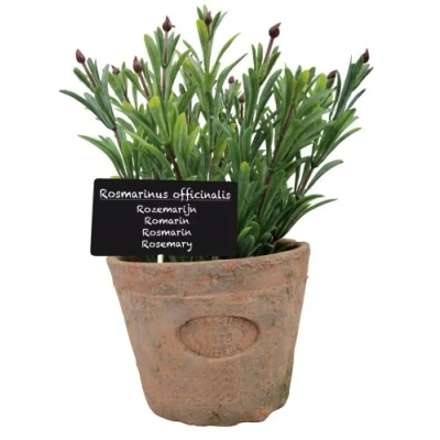 Imagen de Esschert&#039;s Design AH012 Maceta Artificial de Terracota Envejecida (tamaño Grande), diseño Romero