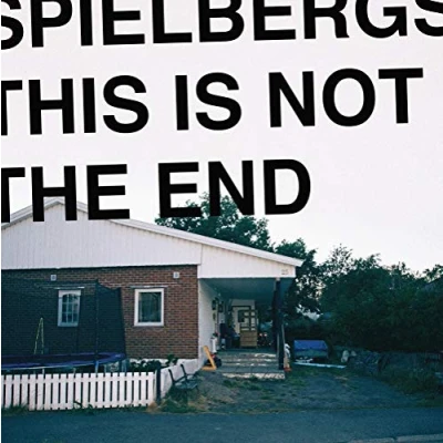 Imagen de This Is Not The End [Vinilo]
