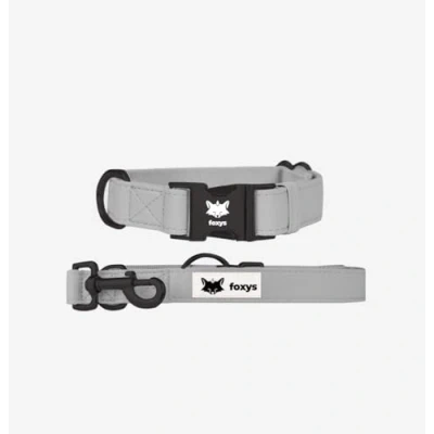 Imagen de CityFox Set Collar y Correa de Perro a Juego Elegante Ajustable Fácil Limpiar Resistente Gris Talla S 30 42cm Conjunto Foxys