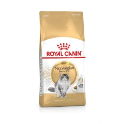 Imagen de ROYAL CANIN Norwegian Forest Cat Adult Paquete Triple 3 x 400 g Alimento Completo para Gatos Adultos de la Raza A Partir los 12 Meses Piel Sana y Pelaje Hermoso