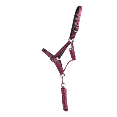 Imagen de QHP Halter Set Lily