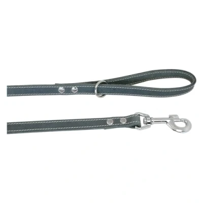 Imagen de JACK AND VANILLA, Correa para Perro, Modelo Piel Negrita, Color Gris, Tamaño 16 mm x 100 cm