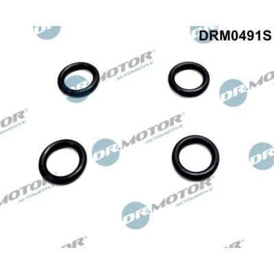 Imagen de DR.MOTOR AUTOMOTIVE DRM0491S Kit juntas, inyector