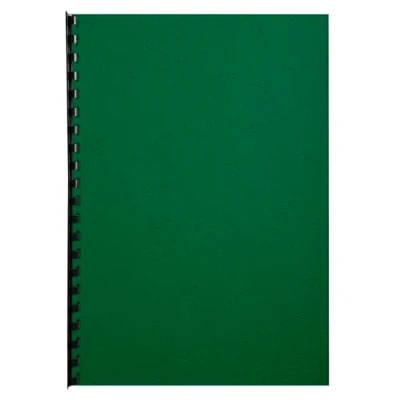 Imagen de Exacompta 2798C Lote de 100 cubiertas/cartulinas dossiers, A4, color verde