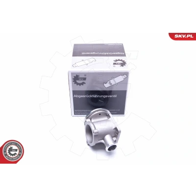 Imagen de ESEN SKV 14SKV177 Válvula EGR neumático BMW: 3 Berlina, Touring, X3