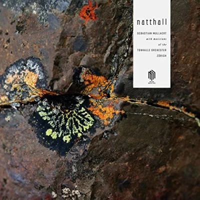 Imagen de Natthall Vinilo