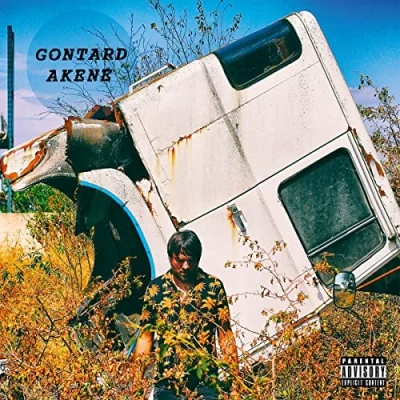Imagen de Akene Vinilo