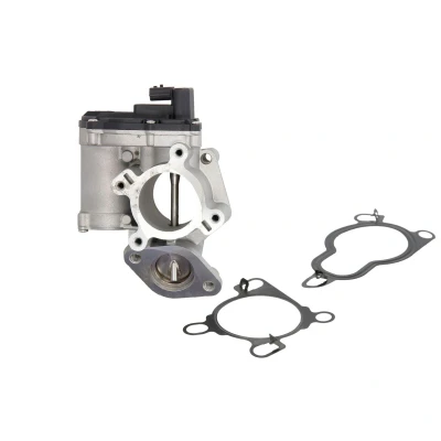 Imagen de AUTLOG AV6084 Válvula EGR eléctrico electromagnética RENAULT: TRAFIC 2 Kasten, MEGANE 3, Laguna III Coupé, NISSAN: Qashqai / Qashqai+2 I