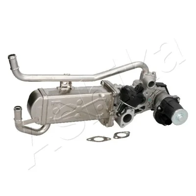 Imagen de Válvula EGR ASHIKA 150 00 0910