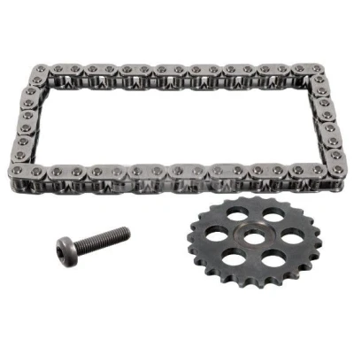 Imagen de Kit cadenas, accionamiento bomba aceite SWAG 33 10 9583