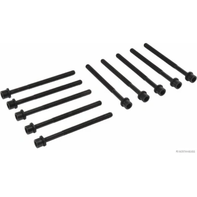 Imagen de HERTH+BUSS JAKOPARTS J1280520 Juego de Tornillos Culata dentado interior HYUNDAI: i10 I, i20 I Hatchback, II KIA: Picanto