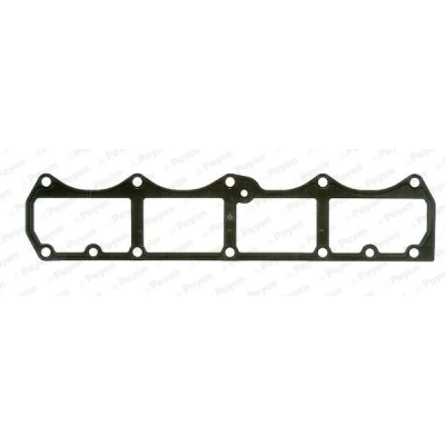 Imagen de PAYEN JM7203 Junta Tapa de Balancines metal y material blando. FIAT: Doblo I Familiar, Stilo Hatchback, Brava Hatchback
