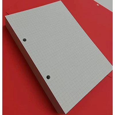Imagen de Recarga de 200 hojas (400 páginas) 2 agujeros A5 14,5 x 20,5 cm Cuadros 5 mm DIN para carpeta con anillas separadas 8 cm.